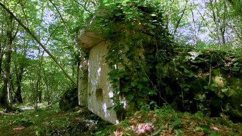 Dolmen. Megalithic tomb 库存影片 88151473