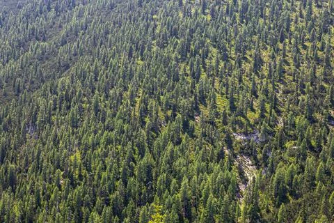 Dolomite s panorama Stock Photos