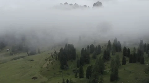 Dolomites in clouds. Drone flies above fir tree tops, meadow to mountain peak. Stock Footage 123161905