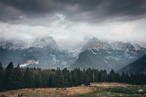 Dolomites on a cloudy day with a pine forest in the foreground, Italy Stock Photos