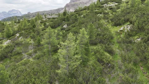Dolomites Mountain View Stock Footage 316072881