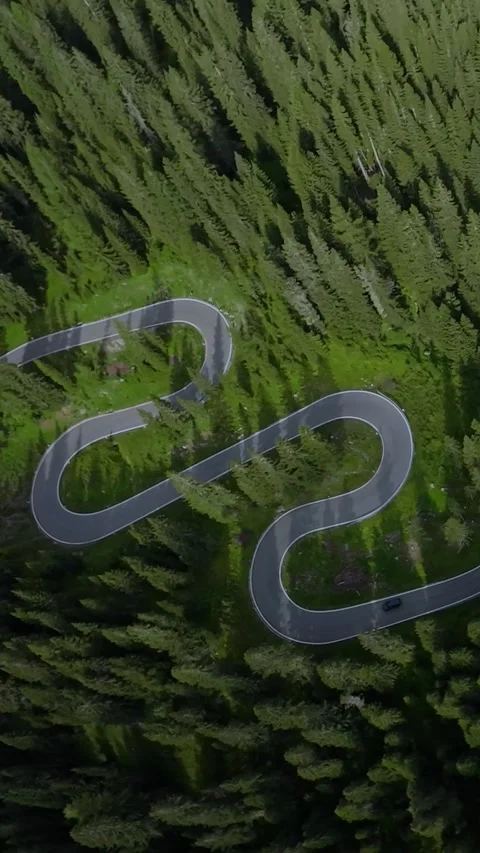 Dolomites scenic forest path, elevated perspective of curving asphalt trail Stockbeeldmateriaal 323778158