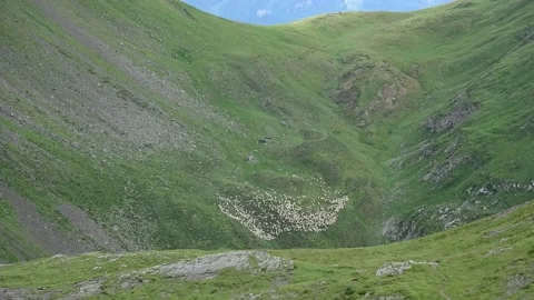 Dolomites sheep - timelapse Stock Footage 146381764