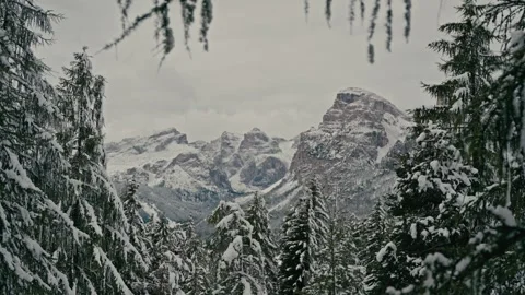 Dolomites Snow Winter Hike Through Majestic Frozen Pine Forest Mountains Vídeos de archivo 331165500