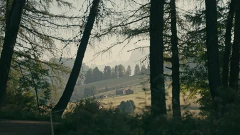 Dolomites Sunrise View Through Forest Trees over Valley with Rustic Cabins 库存影片 331163955