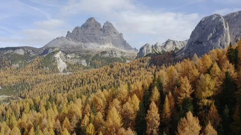 Dolomites surrounded by trees Stock Footage 129674487