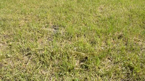 Dolomites, tilt view Stock Footage 42120805