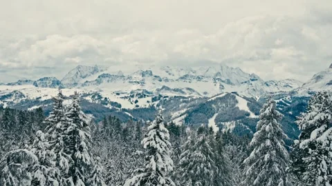 Dolomites Winter Landscape Featuring Snowy Pine Trees and Mountain Peaks Vidéo 331165140