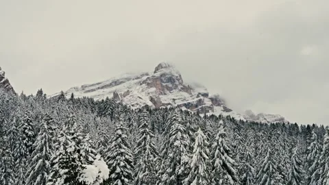Dolomites Winter Landscape with Snowy Pine Forest and Rugged Peaks 库存影片 331165290