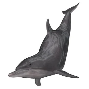 Dolphin - 3D render Stock Illustration