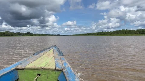 Dolphin in Amazon River boat trip from Iquitos Stock Footage 245929010