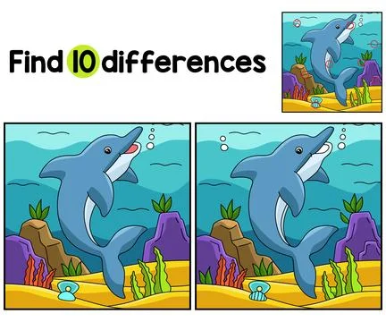 Dolphin Animal Find The Differences Stock Illustration