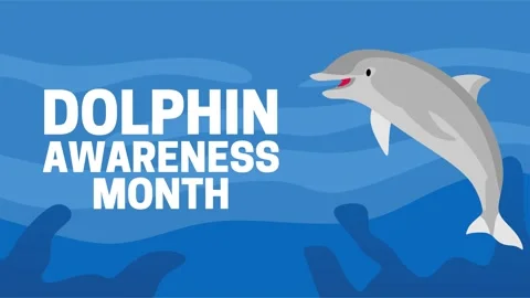 Dolphin awareness month for better dolphin conservation Video stock 344028414
