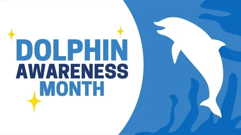Dolphin awareness month for better dolphin conservation Video stock 344028442