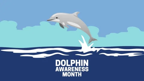 Dolphin awareness month for better dolphin conservation Video stock 344028444