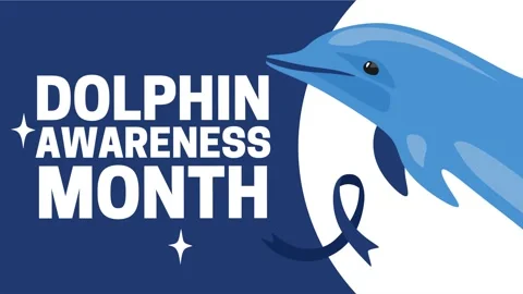 Dolphin awareness month for better dolphin conservation Video stock 344028512
