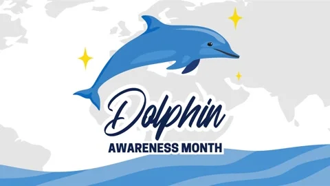 Dolphin awareness month for better dolphin conservation Video stock 344028513