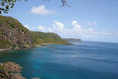Dolphin Bay Stock Photos
