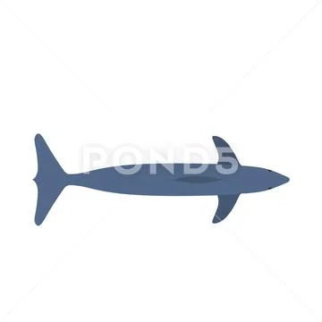 Dolphin blue mammal art graphic symbol vector icon. Animal sea aquarium show Stock Illustration
