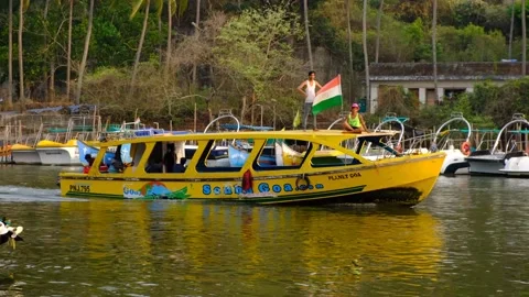 Dolphin boat trip 스톡 동영상 182937995