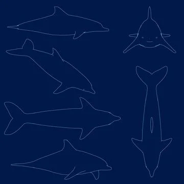 Dolphin characters contour set. Dolphins jump and swim poses. Oceanarium show Stock Illustration