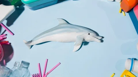 Dolphin is circled by different container of plastic over an aqua bacground 動画素材 105725444