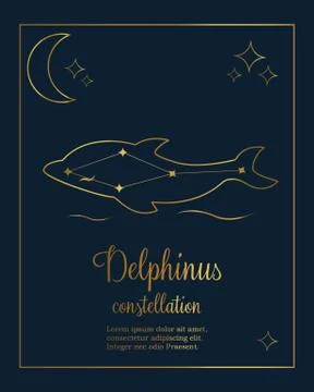 The Dolphin constellation in the night sky Stock Illustration