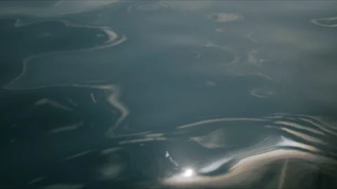 Dolphin Cresting The Surface Of Ocean Water With Fin 4K 48FPS SLO-MO Stock Footage 221190461