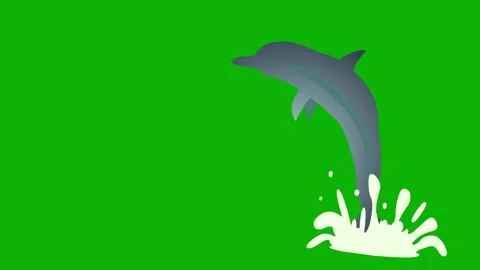 Dolphin Diving Animation – Green Screen. Dolphin swimming and diving in water  Stock Footage 325495556