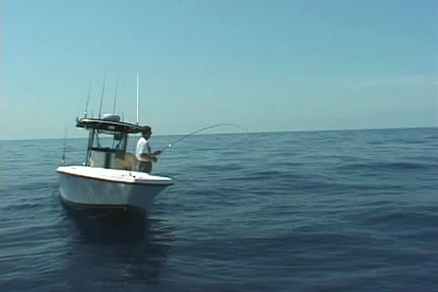 Dolphin Fishing Stock Footage 20725524