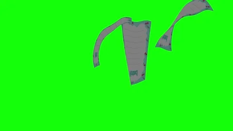Dolphin Flying with Ocean - Chroma Key Green Screen Footage Vídeos de archivo 337990229