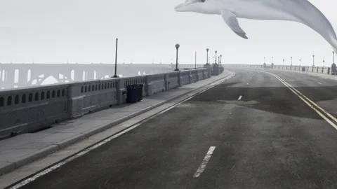 Dolphin flying over empty roadway near bridge during overcast weather Stock Footage 344825862