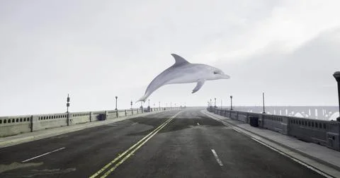 Dolphin gracefully leaps above an empty city street on a cloudy day Stock Illustration