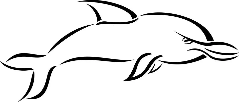 Dolphin Stock Illustration