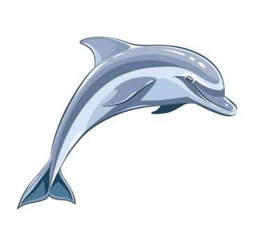 Dolphin Stock Illustration