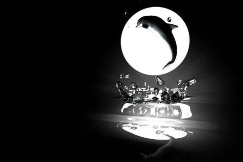 Dolphin Stock Illustration
