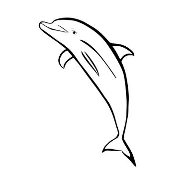 Dolphin Stock Illustration