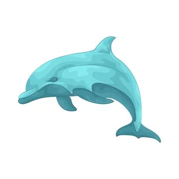 Dolphin illustration Illustration