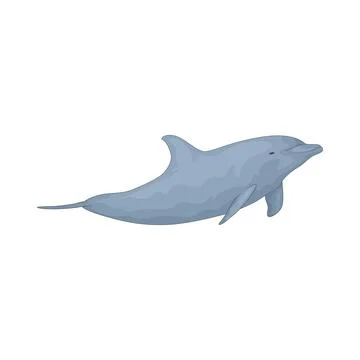 Dolphin illustration Stock Illustration