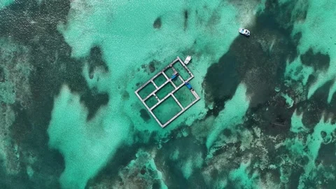 Dolphin Island At Punta Cana In La Altagracia Dominican Republic. Stock Footage 342205342