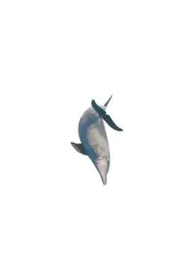 Dolphin isolated on white background Stock Photos