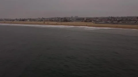 Dolphin Jumping Out of Ocean Close to Shore Stock Footage 275550906
