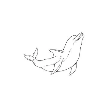 Dolphin jumping playful aquatic animal black white sketch line doodle vector Stock Illustration