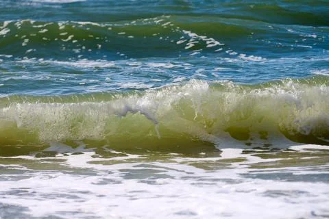 Dolphin leaping through coastal waves under bright blue sunlight Stock Photos