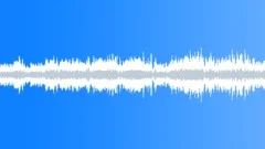 Dolphin Stock Music