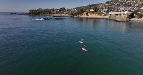 Dolphin with Paddle Boarders 5K Stock Footage 230486865