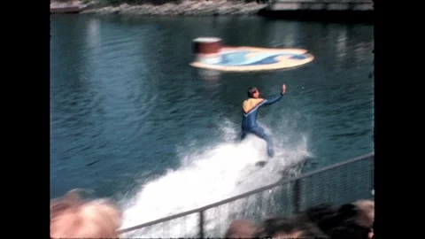 Dolphin Performance Stock Footage 276290393