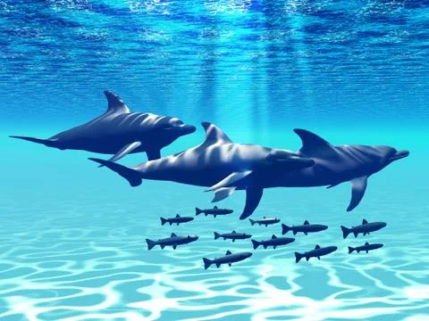 Dolphin play Stock Illustration