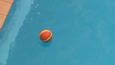 The dolphin is played with a ball in a clean pool. Vídeos de archivo 95626333