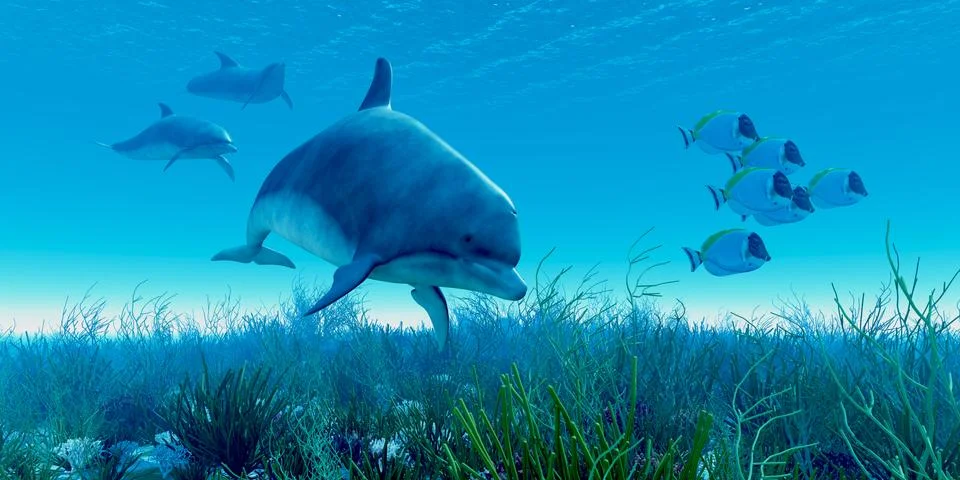 Dolphin pod Stock Illustration